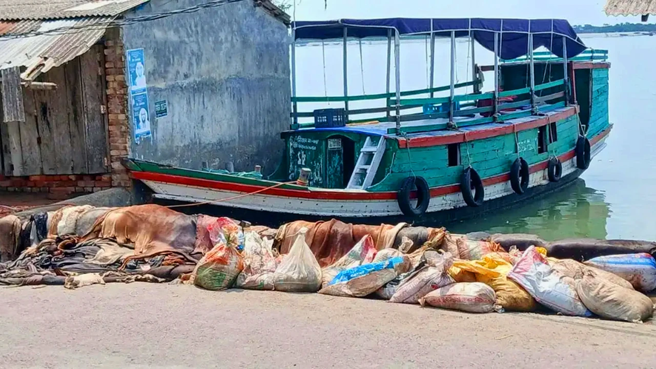 বিক্রি না হওয়ায় নদীর পাড়ে ফেলা হলো কোরবানির পশুর চামড়া