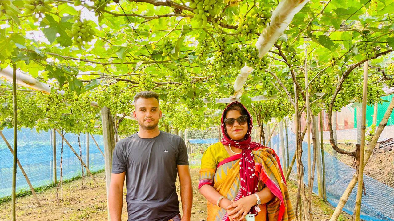 বিদেশি ফল আমদানির বিকল্প হতে পারে ভালুকার আঙুর