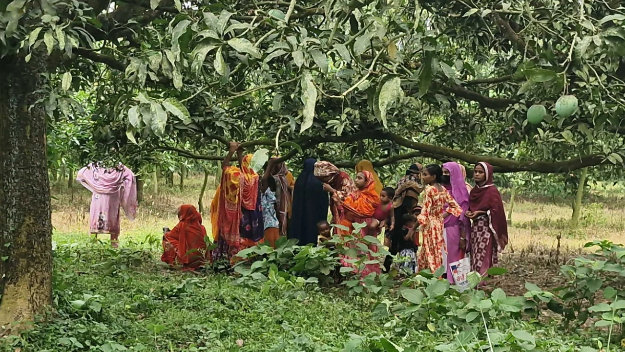 সীমান্তে পুশইনে ব্যর্থ, ২৮ জনকে ফিরিয়ে নিলো বিএসএফ