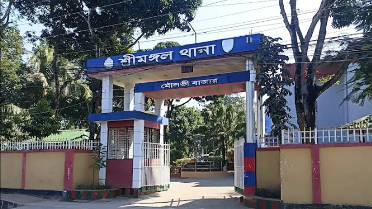 শ্রীমঙ্গলে ট্রেনের ছাদ থেকে পড়ে ২ জনের মৃত্যু
