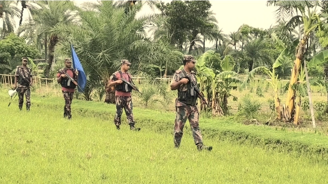 ঝিনাইদহ সীমান্তে গভীর রাতে বিএসএফের পুশইনের চেষ্টা
