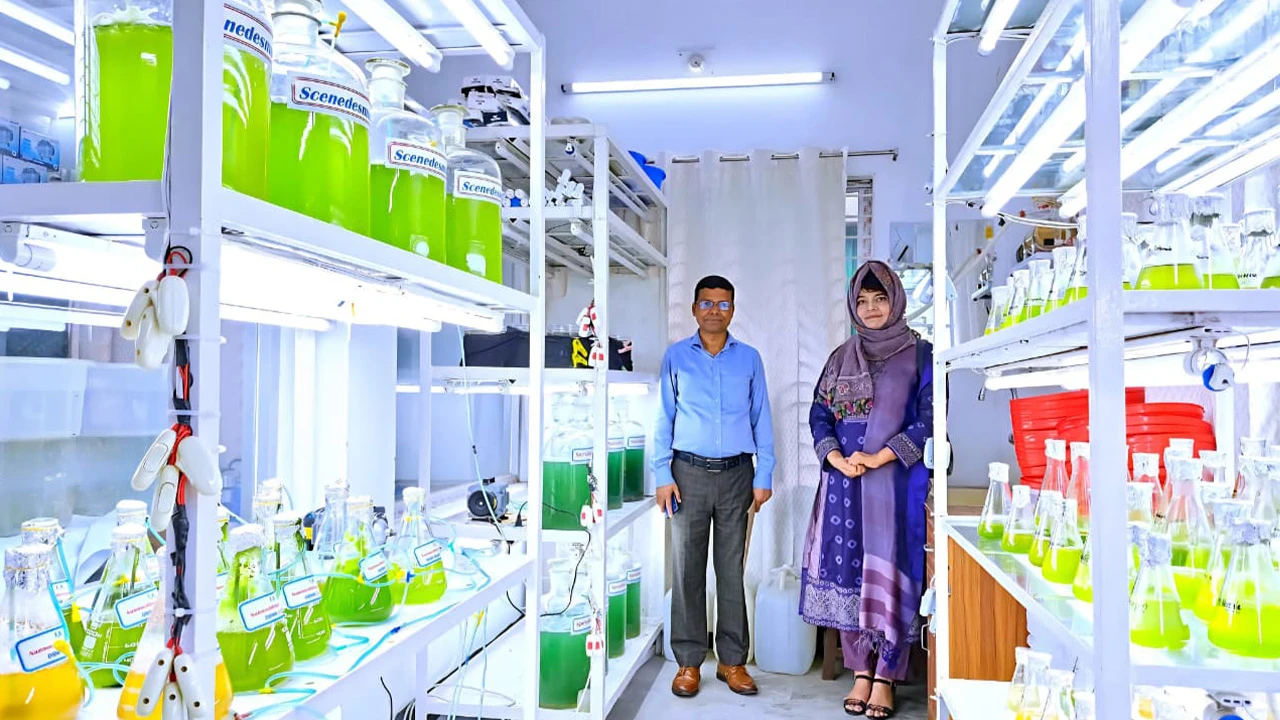 দেশের প্রথম সমন্বিত অ্যাকোয়াফিড প্রযুক্তি উদ্ভাবন বাকৃবির