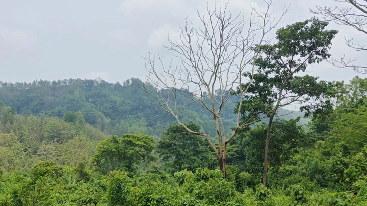 খাগড়াছড়িতে সশস্ত্র সন্ত্রাসী হামলায় নিহত ৩