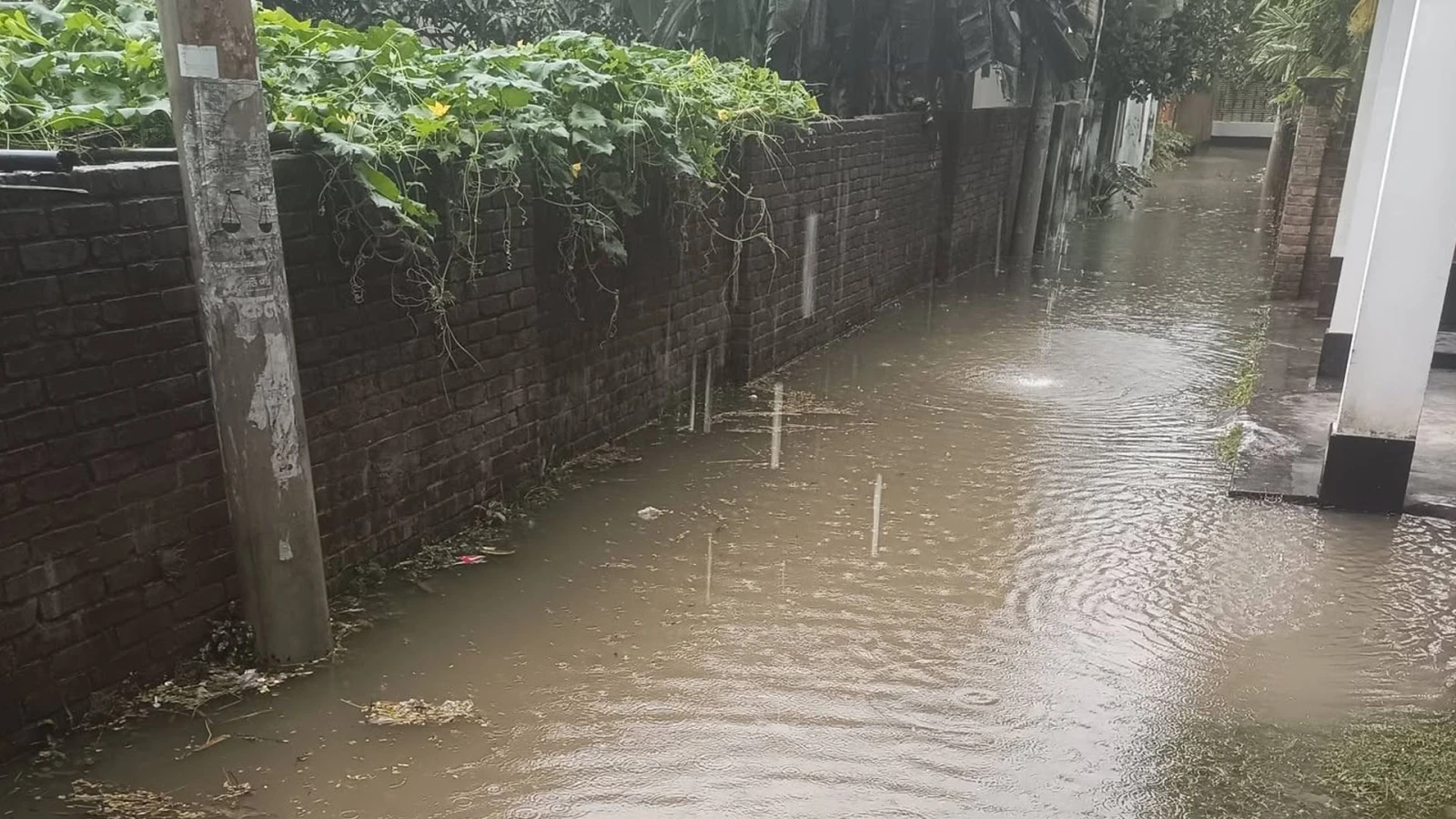 অতিবৃষ্টিতে নিচু এলাকা প্লাবিত, ভোগান্তিতে সাধারণ মানুষ