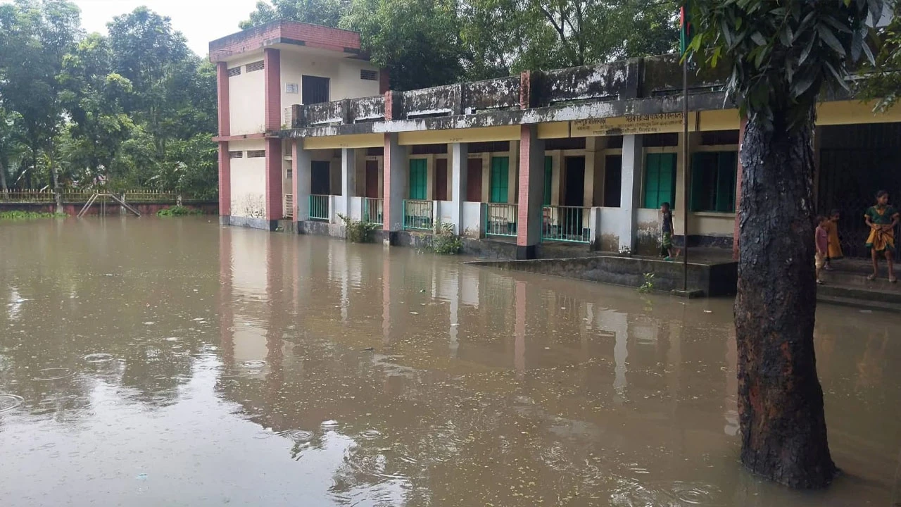 কটিয়াদীর এক প্রাথমিক বিদ্যালয়ে ৯ বছর ধরে নেই প্রধান শিক্ষক
