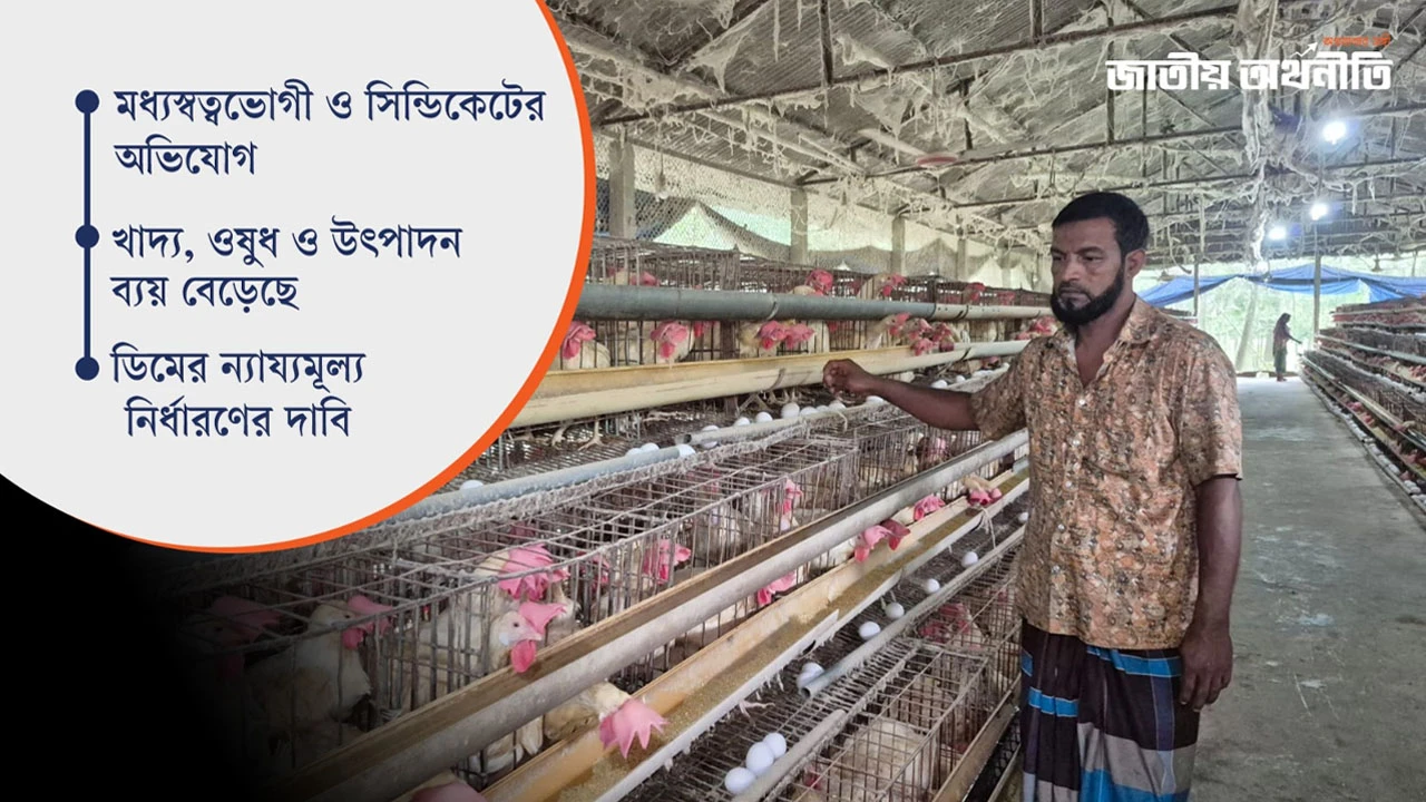 উৎপাদন খরচ বাড়লেও দাম কম ডিমের, সংকটে হাজারো খামারি