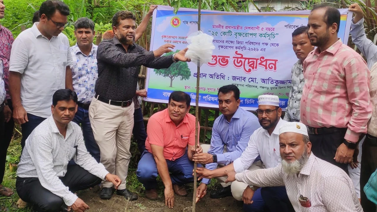 পঞ্চগড় চিনিকলে বৃক্ষরোপণ কর্মসূচি