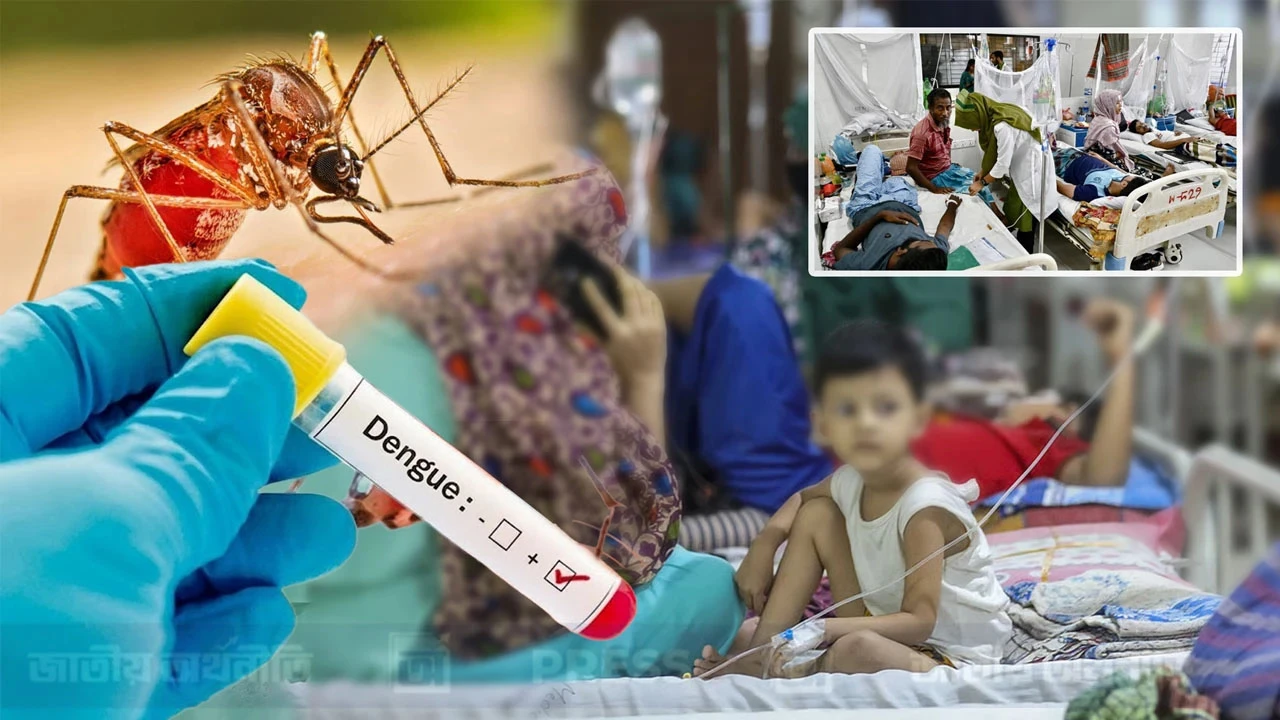 ডেঙ্গুতে আরও ২ জনের মৃত্যু, হাসপাতালে ভর্তি ৭২৭