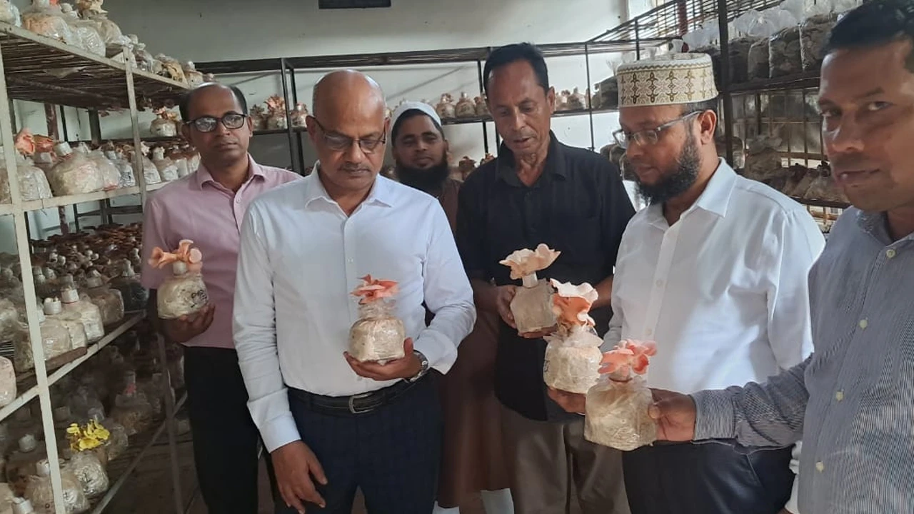 মাশরুম চাষী প্রকল্প পরিদর্শনে পরিকল্পনা মন্ত্রণালয়ের উপসচিব