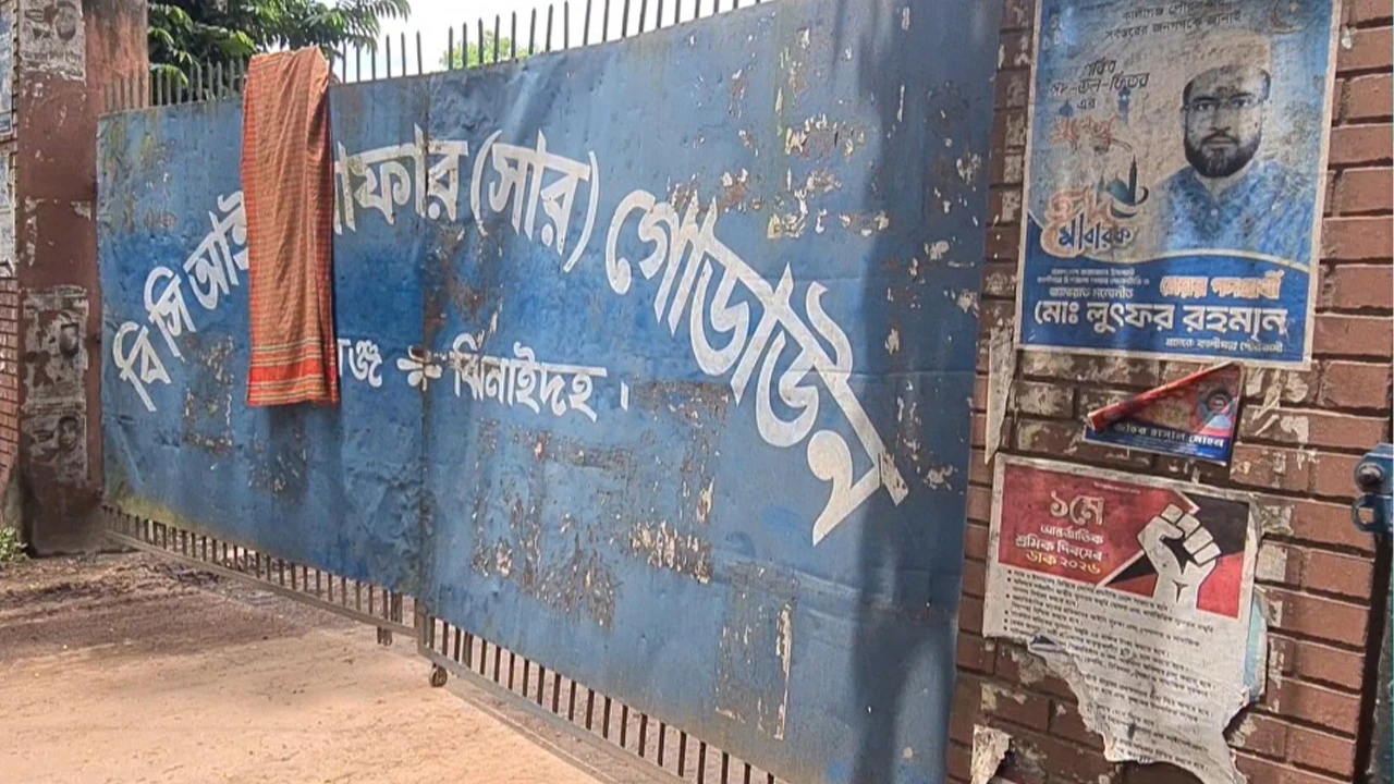 তীব্র সার সংকটে হুমকির মুখে আমন চাষ
