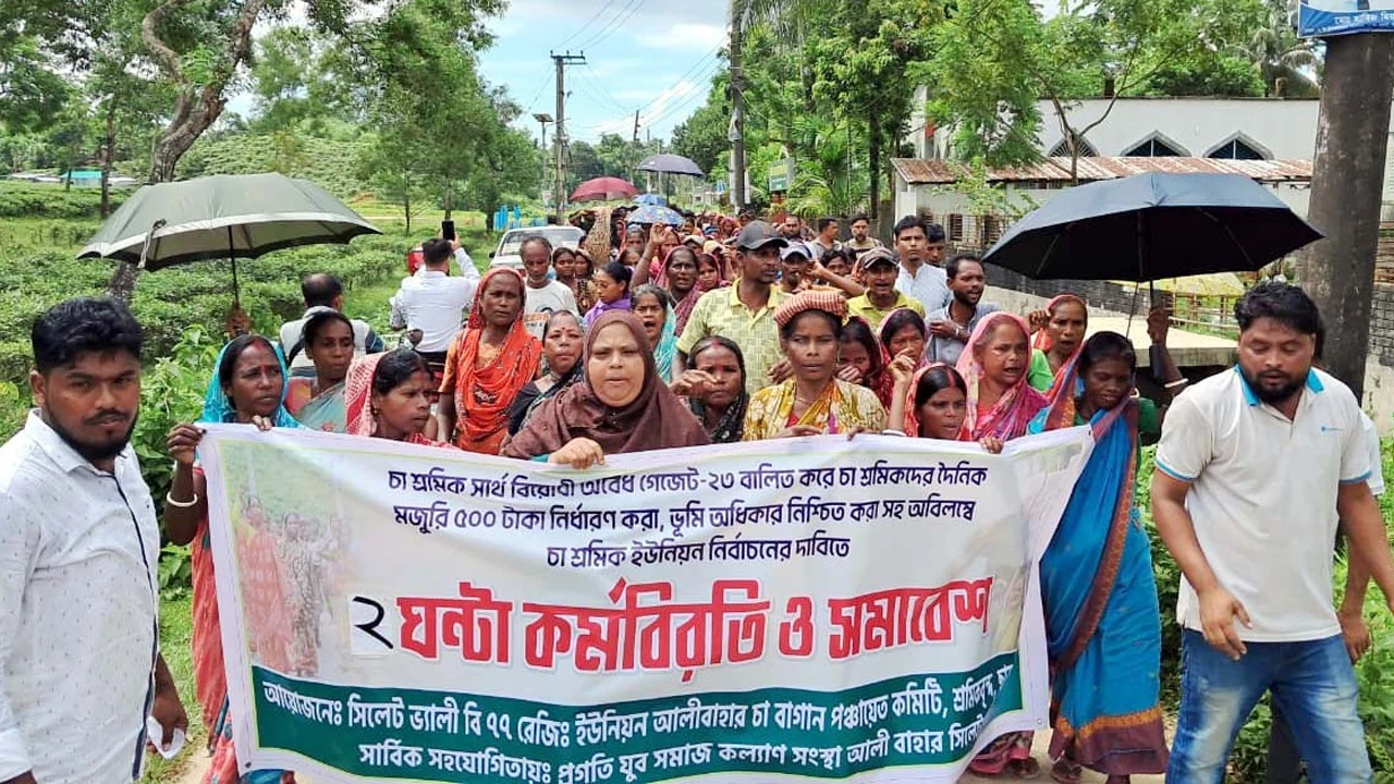 চা শ্রমিকদের ৫০০ টাকা মজুরিসহ চার দাবিতে কর্মবিরতি ও বিক্ষোভ