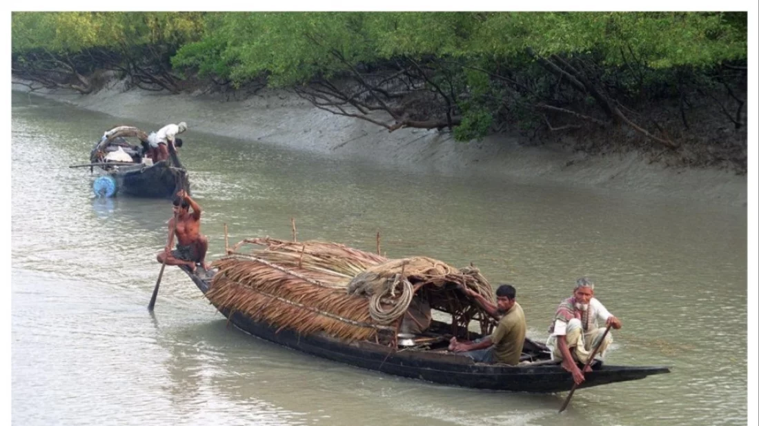 তিন মাস পর খুললো সুন্দরবনের দুয়ার