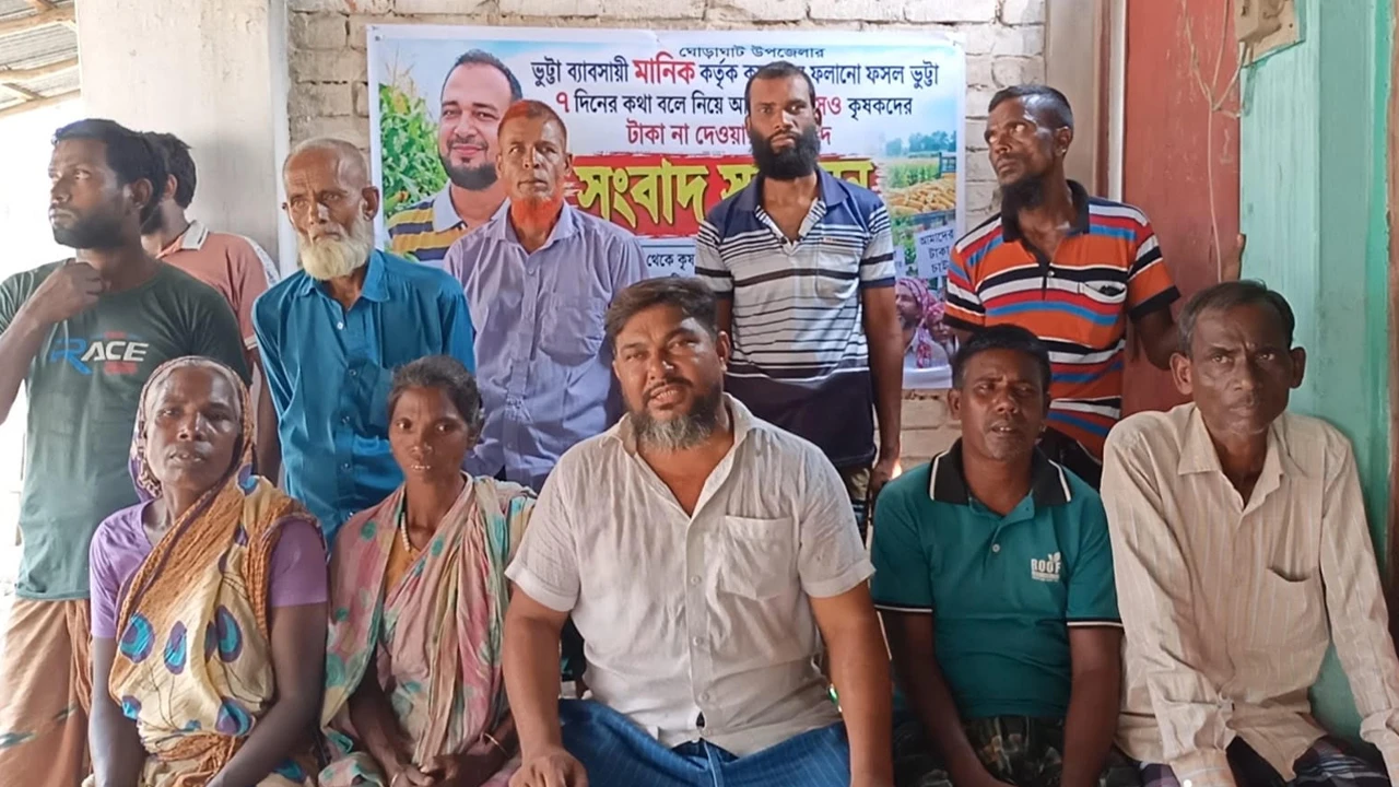 ভুট্টা বিক্রির ৩৫ লাখ টাকা না পেয়ে কৃষকদের সংবাদ সম্মেলন