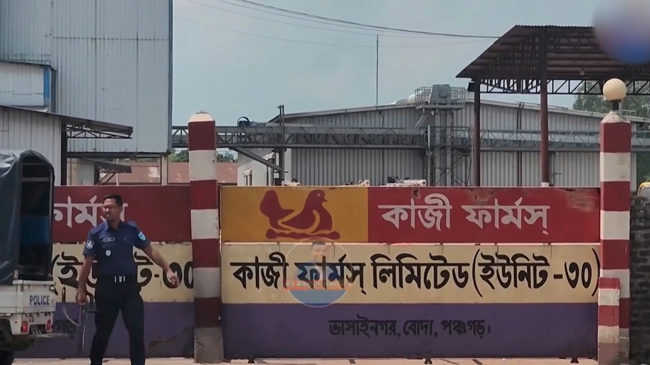 পঞ্চগড়ে কাজী ফার্মসের ফিডমিলে হামলা-ভাঙচুর, উৎপাদন বন্ধ