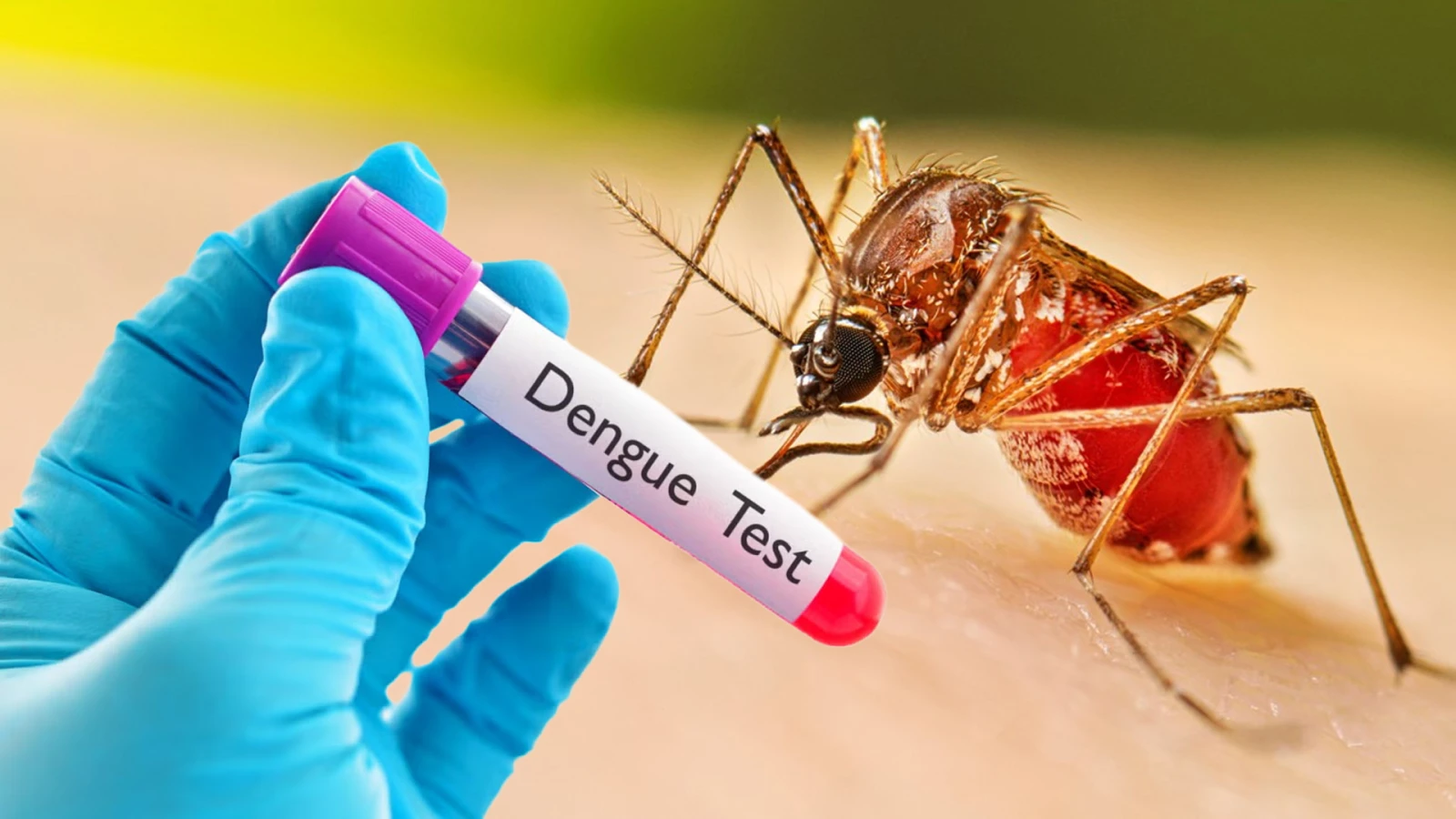 ডেঙ্গুতে আরও ৬ মৃত্যু, হাসপাতালে ১৯৪২