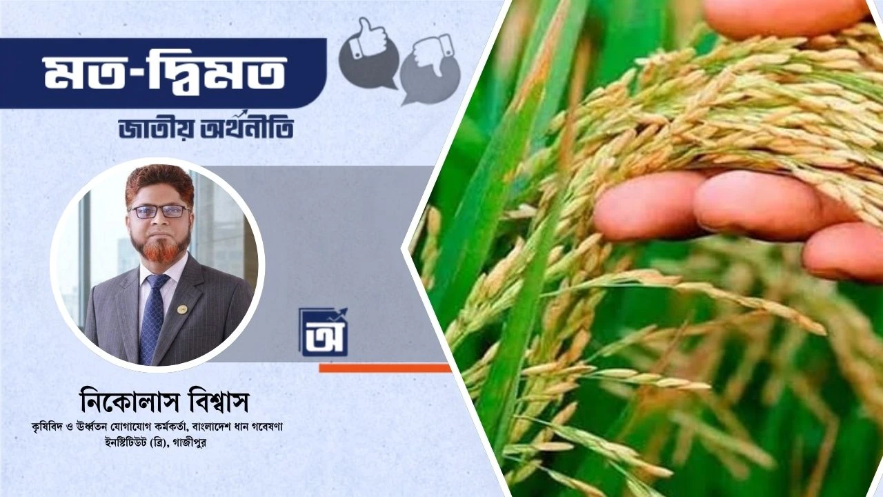 খাদ্যনিরাপত্তার অতন্দ্র প্রহরী ব্রি’র ৫৬ বছরের পথচলা ও আগামীর প্রত্যয়