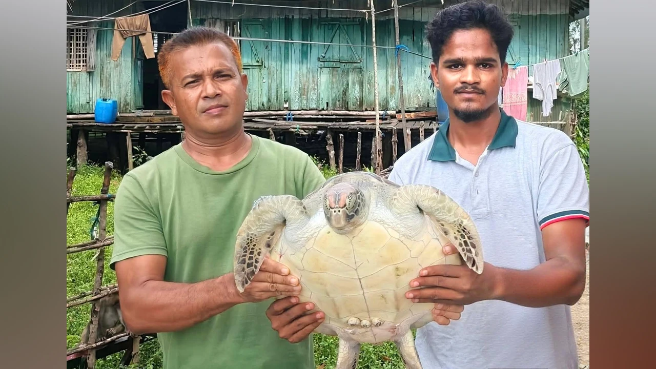 সাতক্ষীরায় ধরা পড়লো বিরল প্রজাতির কচ্ছপ