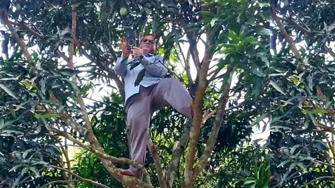 দুর্বল নেটওয়ার্ক: আমগাছে উঠে অনলাইন হাজিরা দিলেন প্রধান শিক্ষক