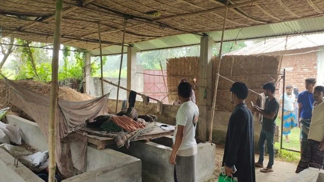 কালীগঞ্জে ১০ দিনে ১০ গরু চুরি, খামারিদের রাত জেগে পাহারা