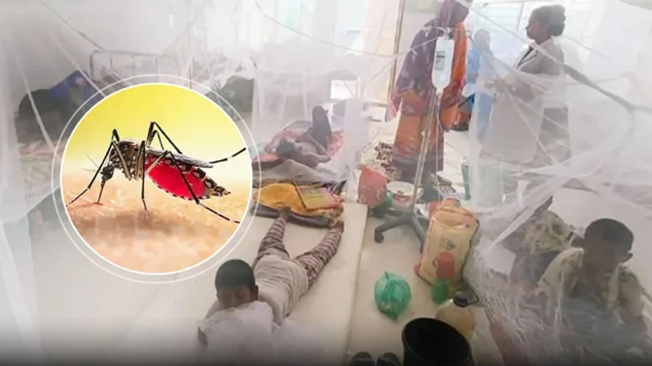হামের চাপের মধ্যেই বাড়ছে ডেঙ্গু, জুলাই-আগস্টে শঙ্কা