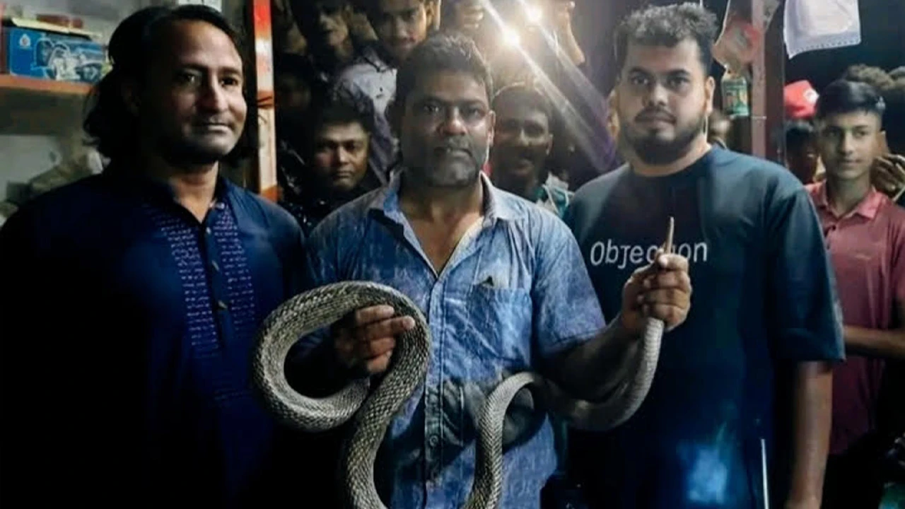 সাংবাদিকের উদ্যোগে প্রাণে বাঁচলো দাঁড়াশ সাপ