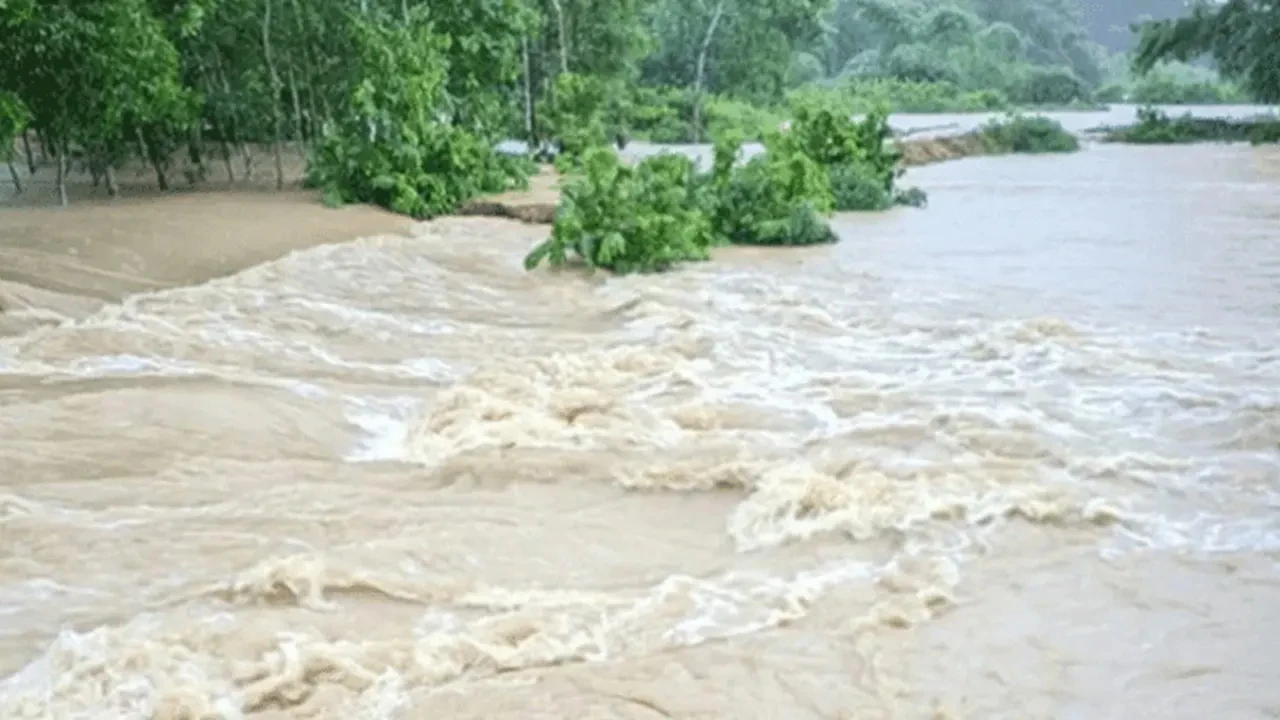 ৩ নদীর পানি বিপৎসীমার ওপরে, জামালপুরে সর্বোচ্চ বৃষ্টিপাত