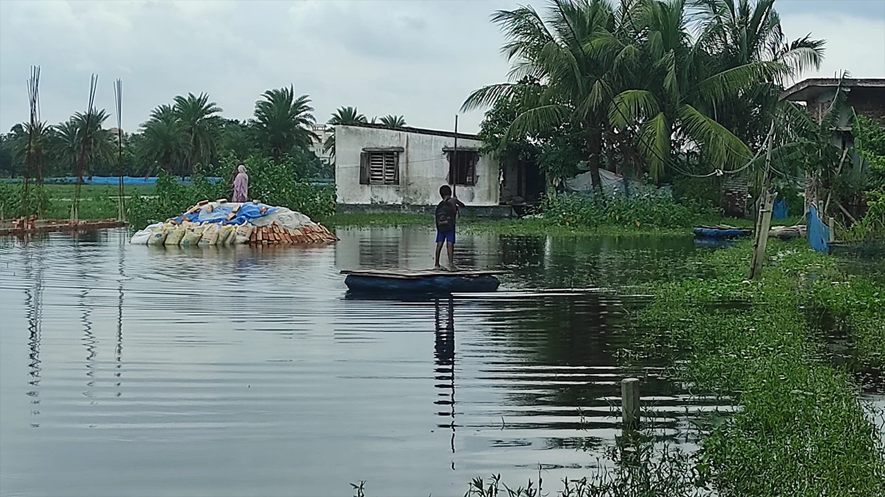 সাতক্ষীরায় জলাবদ্ধতা: ফসল ও মৎস্য খাতের ব্যাপক ক্ষতি