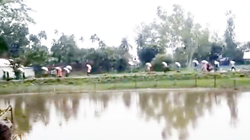 ভূরুঙ্গামারীতে ‘সার ডাকাতি’