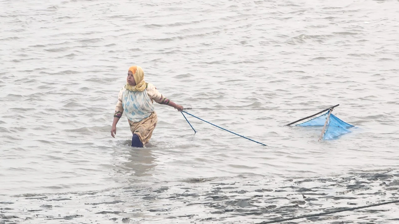 সুন্দরবনে নিষেধাজ্ঞায় পুরুষরা বেকার, সংসারের দায়িত্ব নারীর কাঁধে