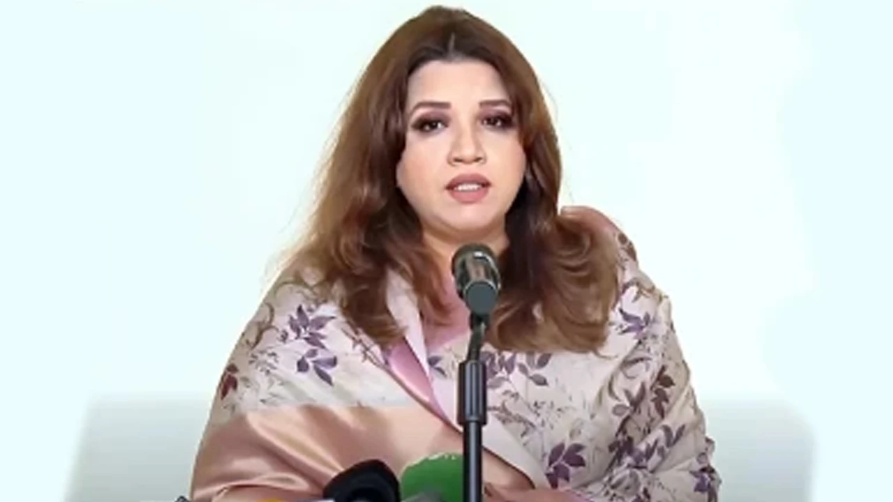 ‘জ্বালানি সংকট মোকাবিলায় বিকল্প উৎস খুঁজছে সরকার’