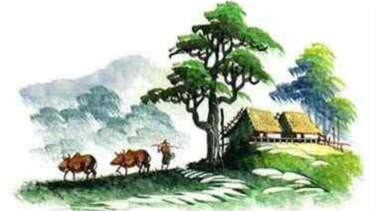 প্রকৃতির অংশ