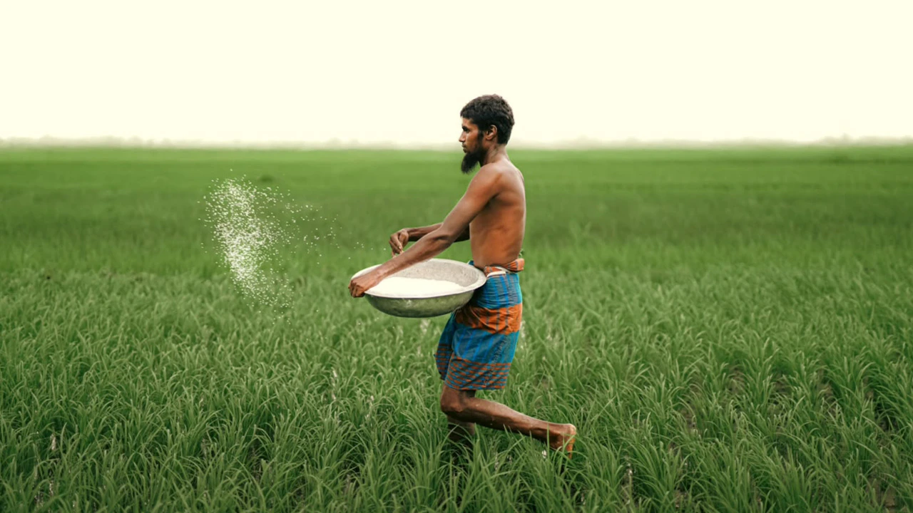 দ্রব্যমূল্যের উত্তাপ কীটনাশকের বাজারে, বিপাকে কৃষক