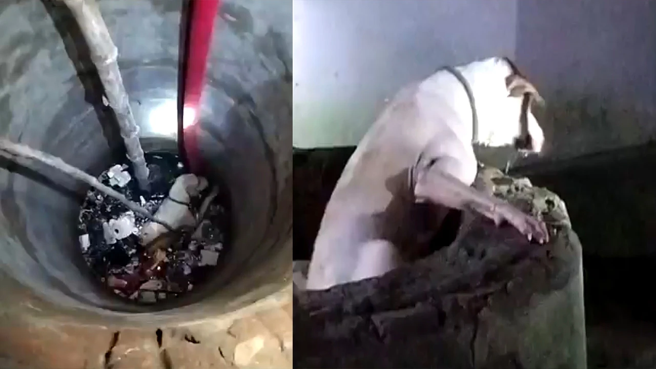 একটি প্রাণ বাঁচাতে লড়ছিল পুরো গ্রাম