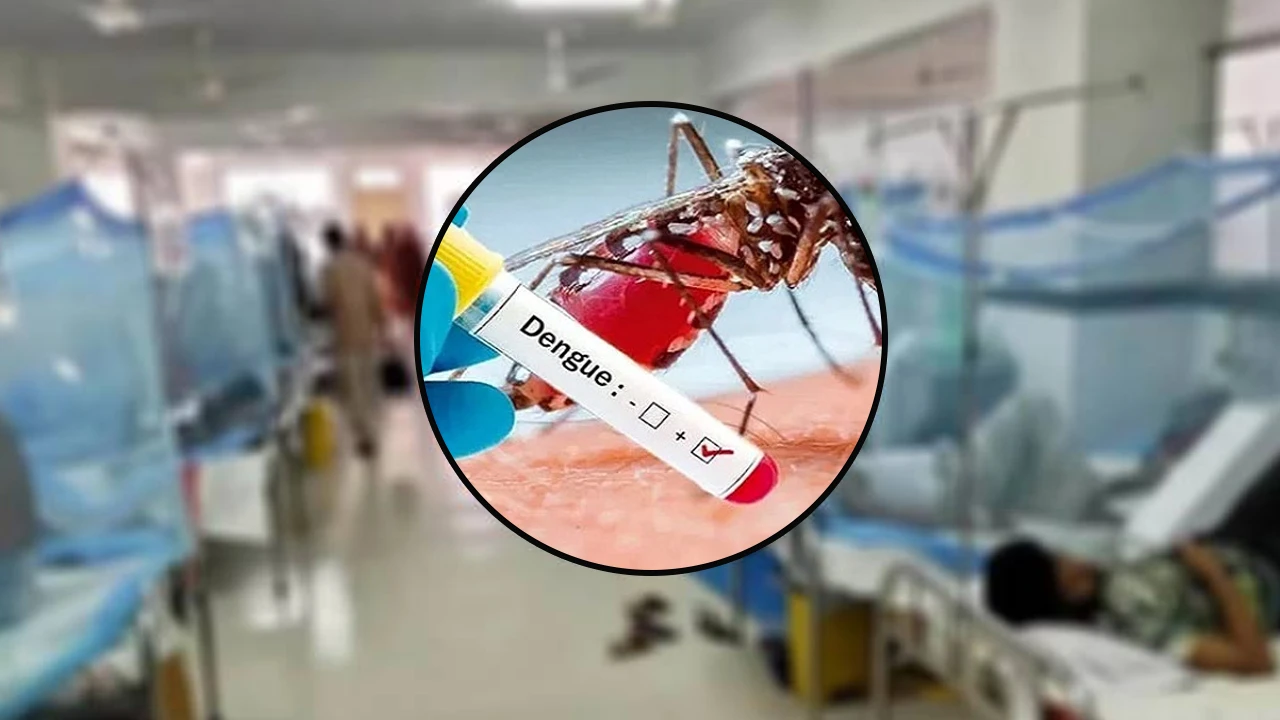 ডেঙ্গুতে আরও ৪ মৃত্যু