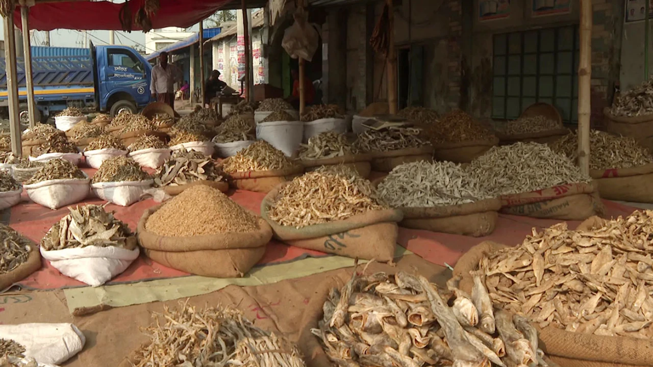 এবার শুঁটকিতে মিলল মাইক্রোপ্লাস্টিক