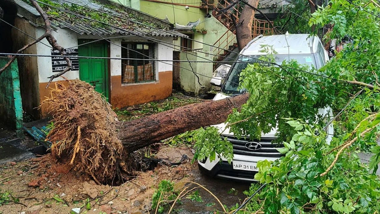ঘূর্ণিঝড় ‘অর্ণবের’ তাণ্ডবে ভারতে নিহত ৬