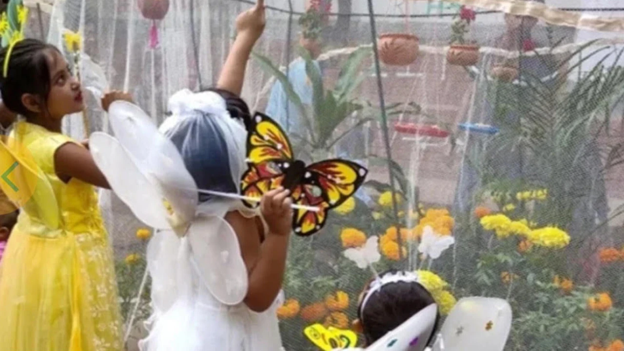 জাবিতে ১৬তম প্রজাপতি মেলা আগামী ২৭ নভেম্বর